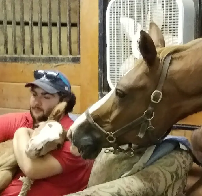 Complete Equine Health Services 9