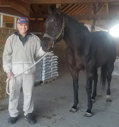 Complete Equine Health Services 2
