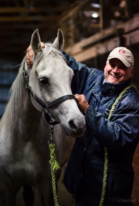 Complete Equine Health Services 4