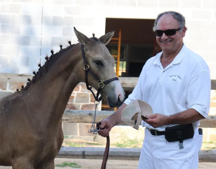 Complete Equine Health Services 6