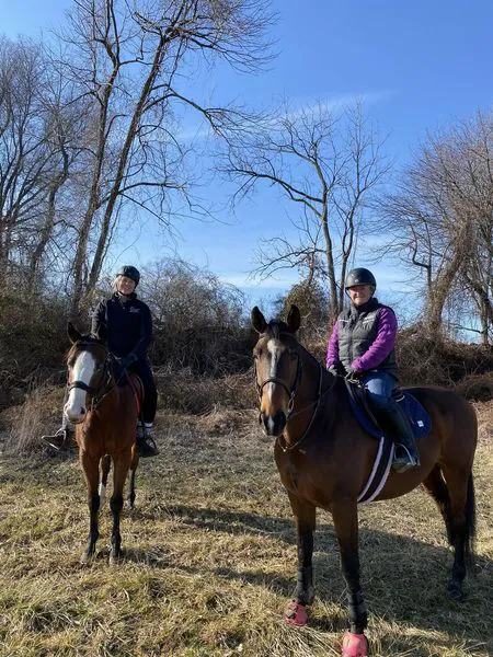 Stillmeadow Equine Veterinary Service LLC 3