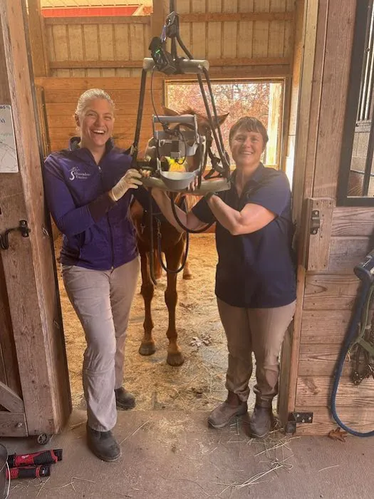 Stillmeadow Equine Veterinary Service LLC 2