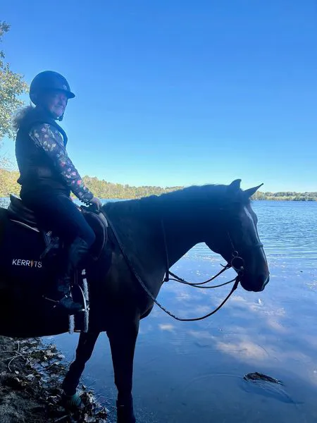 Stillmeadow Equine Veterinary Service LLC 1
