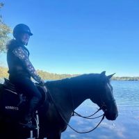 Stillmeadow Equine Veterinary Service LLC ico