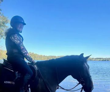 Stillmeadow Equine Veterinary Service LLC