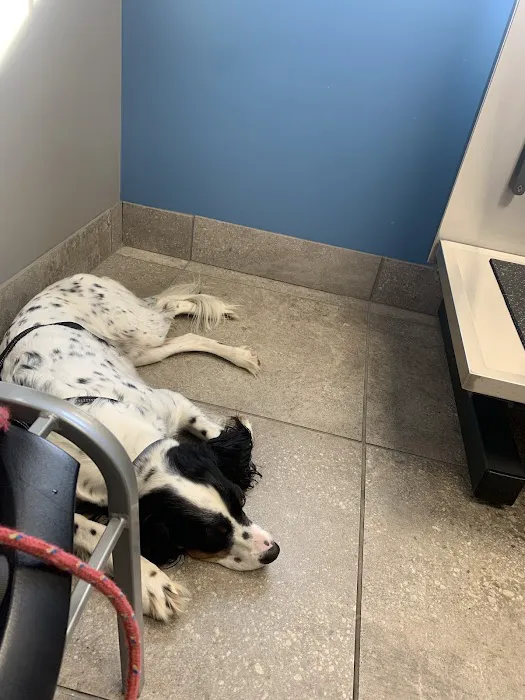 Douglassville Veterinary Hospital 12
