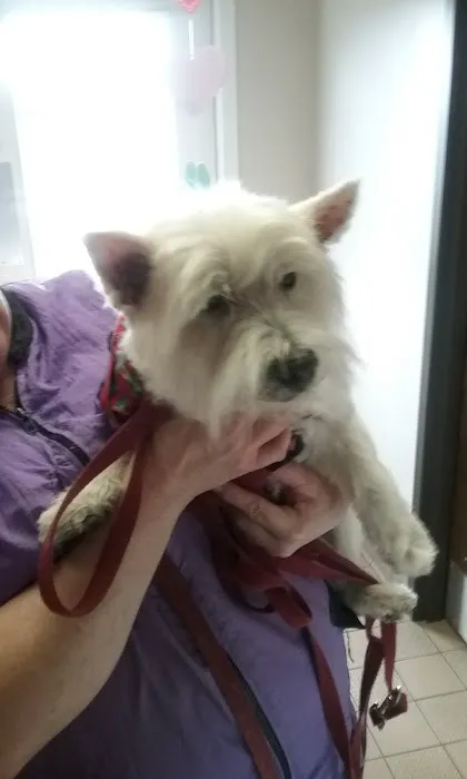Douglassville Veterinary Hospital 12