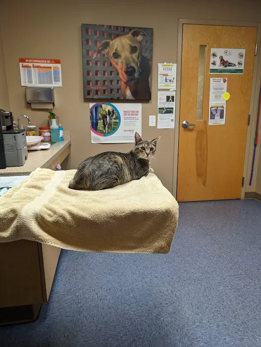The Vet On Main 12