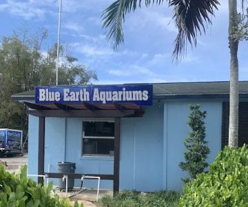 Blue Earth Corals & Aquariums
