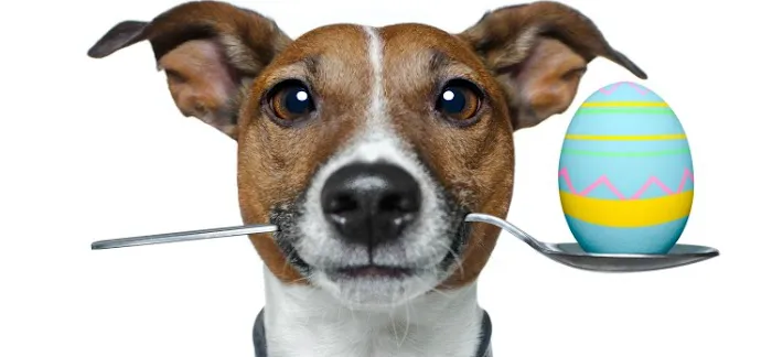 Animal Clinic of Buena 5