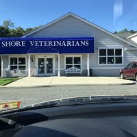Shore Veterinarians ico