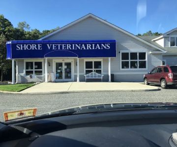 Shore Veterinarians