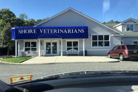 Shore Veterinarians