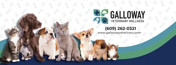 Galloway Veterinary Wellness 3