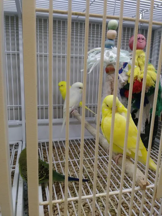 Pet Supplies Plus Valrico 4