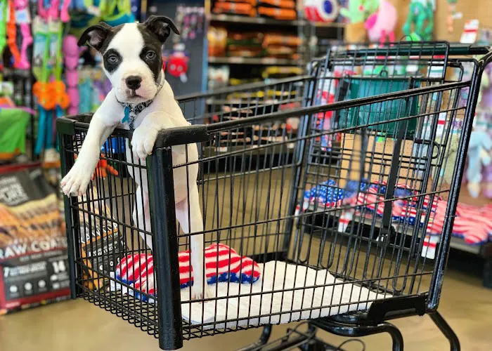 Pet Supplies Plus Valrico 9