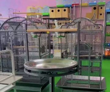 Kimberly's Pet Shop