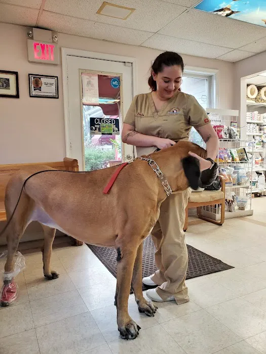 Atlantic Animal Health Center 12