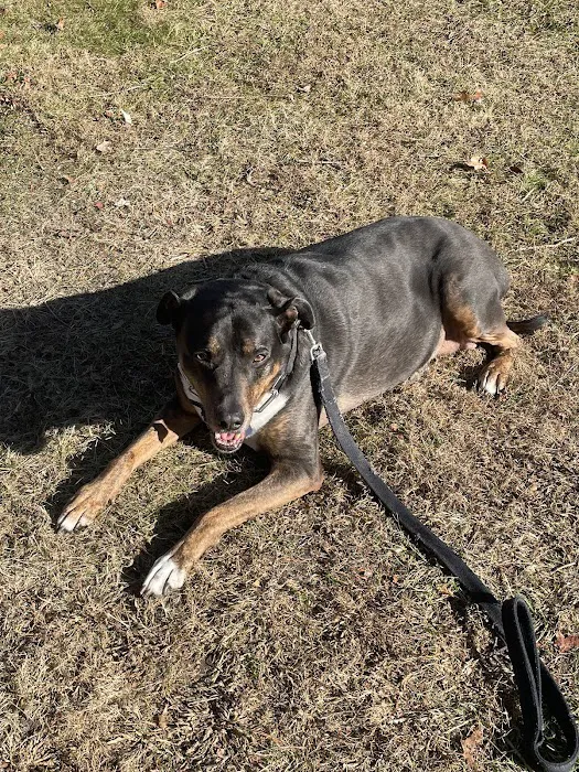 Atlantic Animal Health Center 12