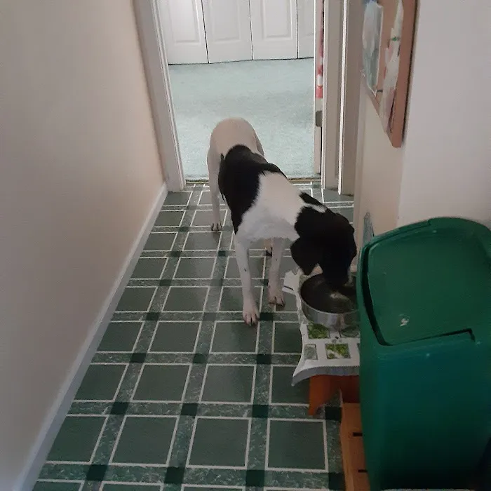 Atlantic Animal Health Center 12