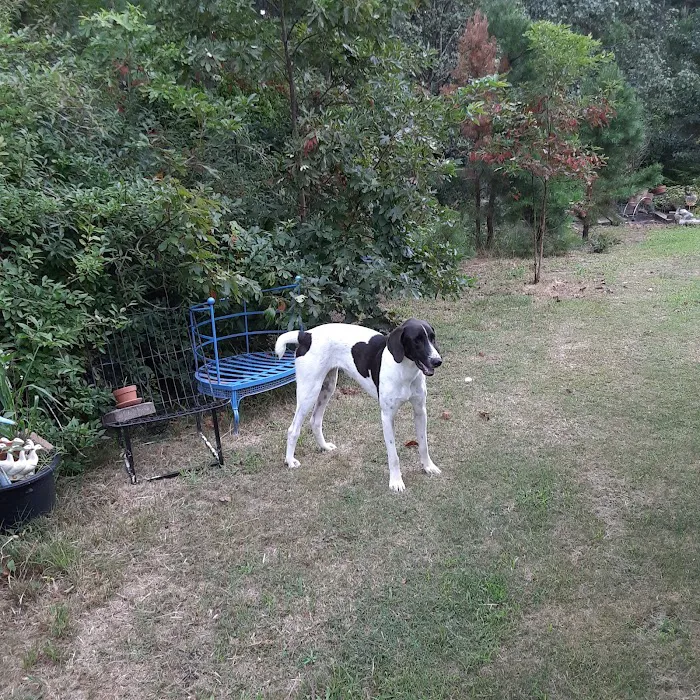 Atlantic Animal Health Center 12