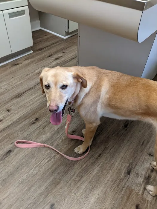 Atlantic Animal Health Center 12