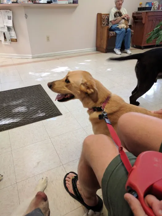 Atlantic Animal Health Center 12