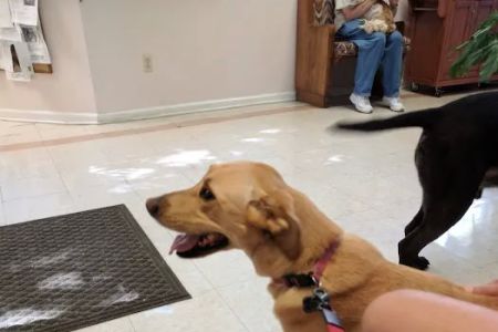 Atlantic Animal Health Center