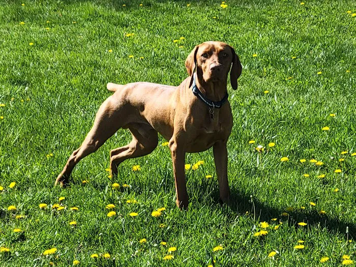 Atlantic Animal Health Center 12