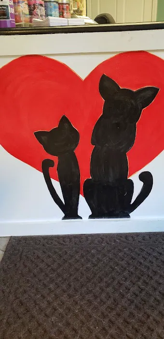 My Best Friends Vet Hospital 12