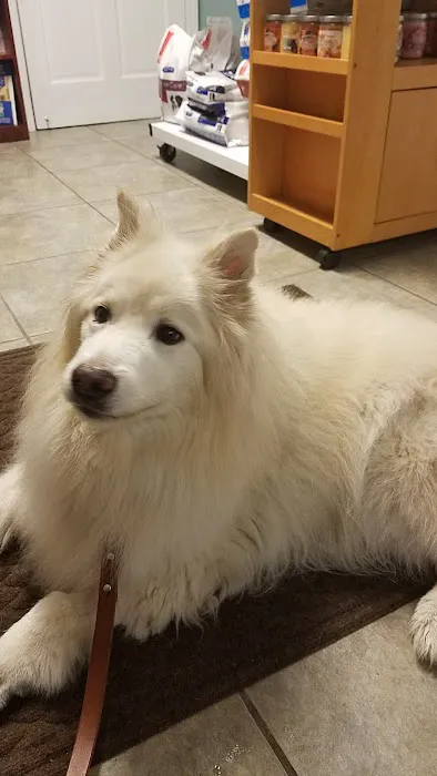 My Best Friends Vet Hospital 12