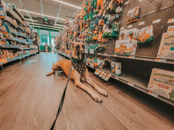 Pet Supplies Plus Zephyrhills 4