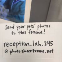 Lambertville Animal Hospital ico