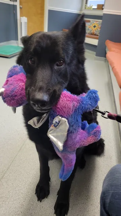 Lambertville Animal Hospital 12