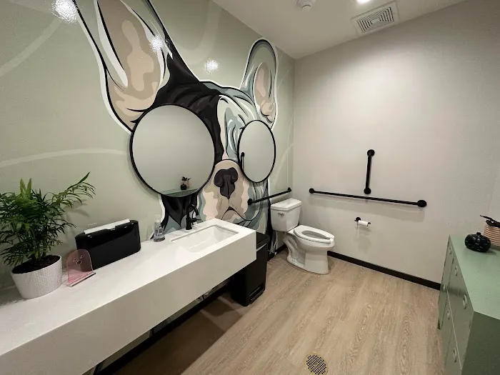 Vet Vision Center 1