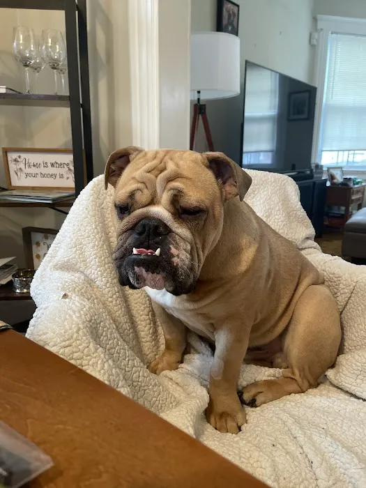 Vet Vision Center 5