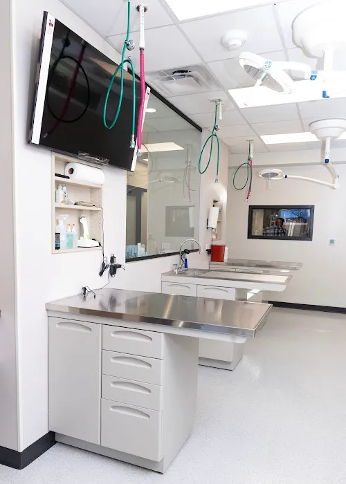 Vet Vision Center 7