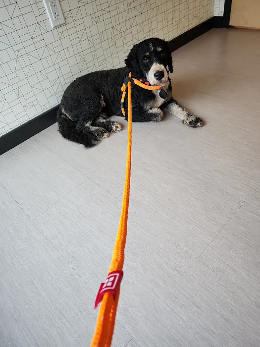 Vet Vision Center 6