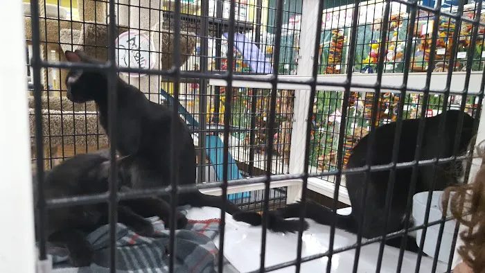 Pet Supermarket 2