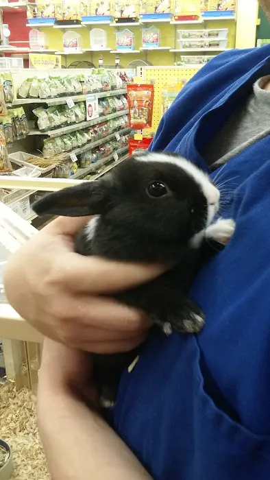 Pet Supermarket 3