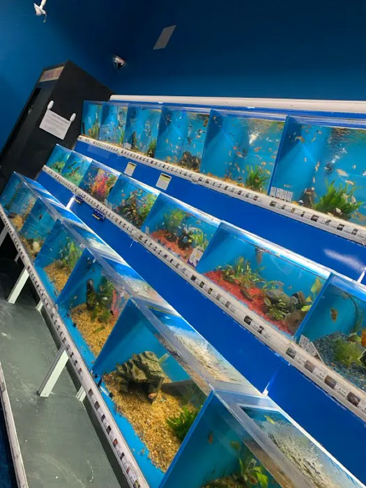 Pet Supermarket 10