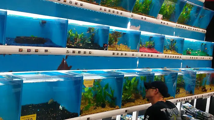 Pet Supermarket 9