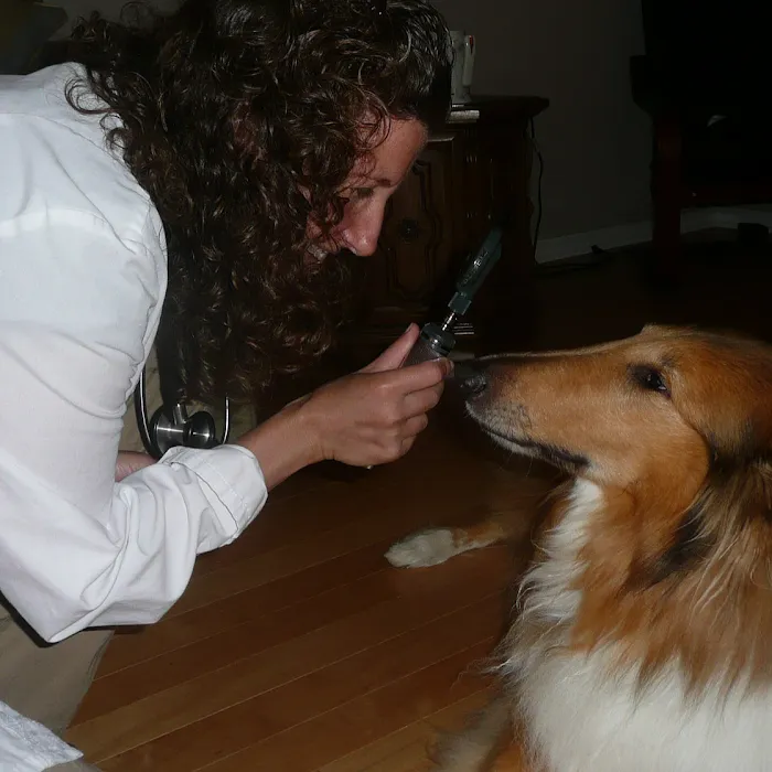 Healing Pets Mobile Vet 12
