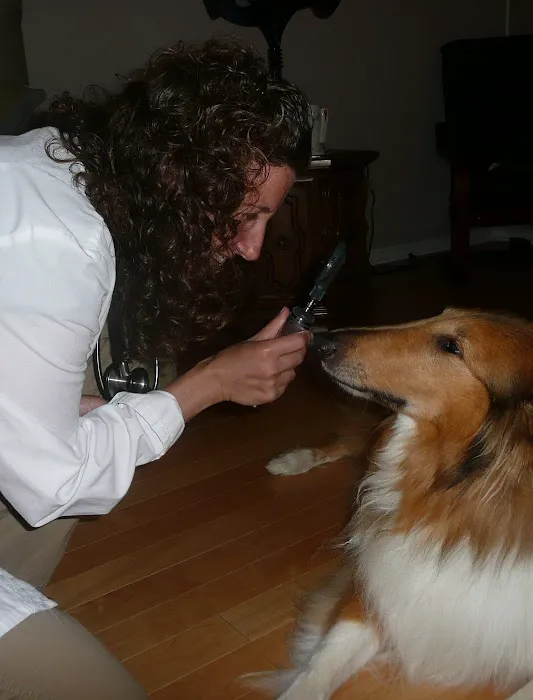 Healing Pets Mobile Vet 12