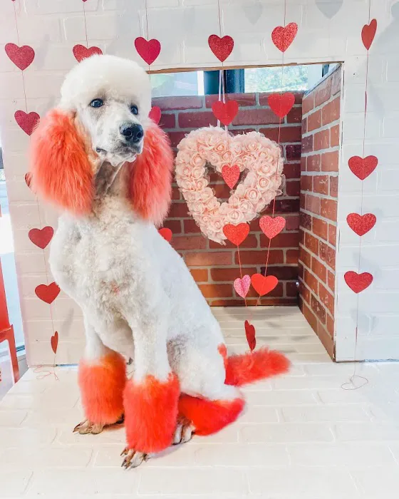 Max's Pet Market & Salon 12
