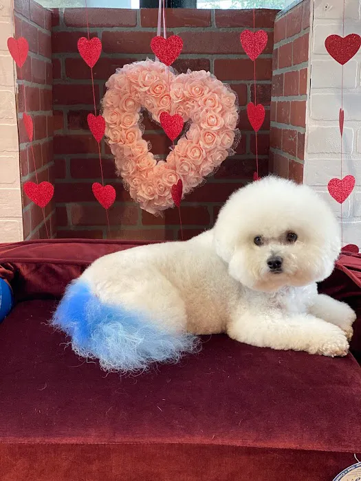 Max's Pet Market & Salon 12