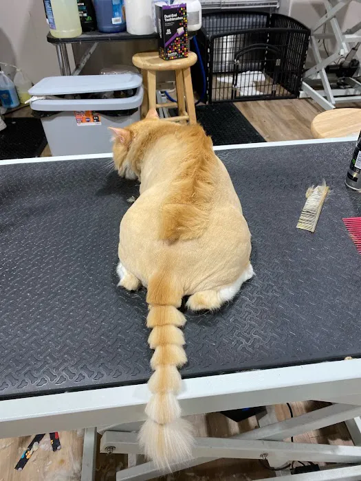 Max's Pet Market & Salon 12