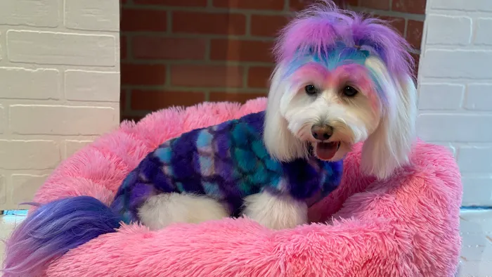 Max's Pet Market & Salon 12
