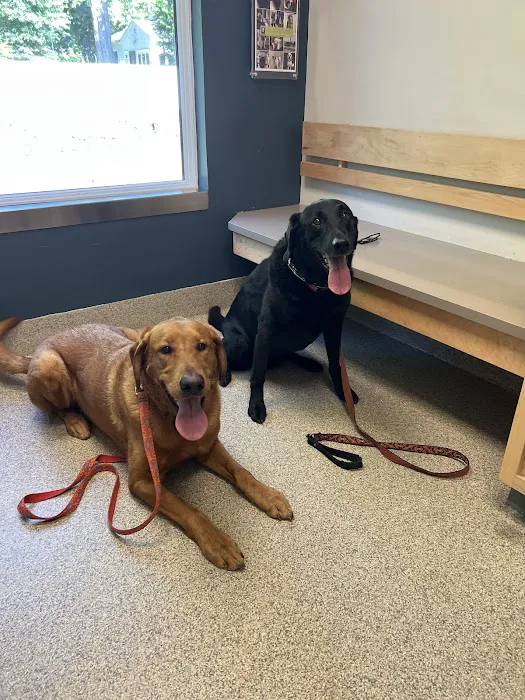 Stockton Veterinary Hospital 12
