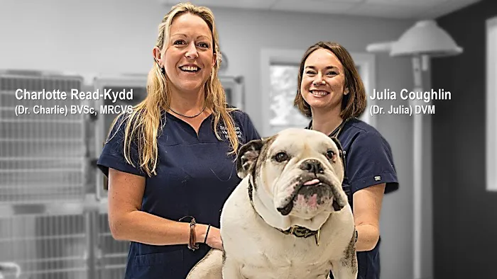 Stockton Veterinary Hospital 12
